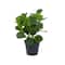 Green Plastic Traditional Artificial Foliage, 10" x 7" x 13"
